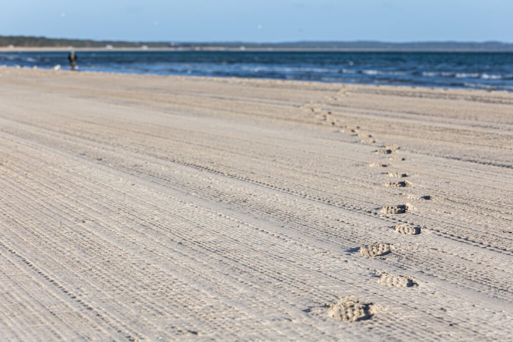 Between Dust and Distance